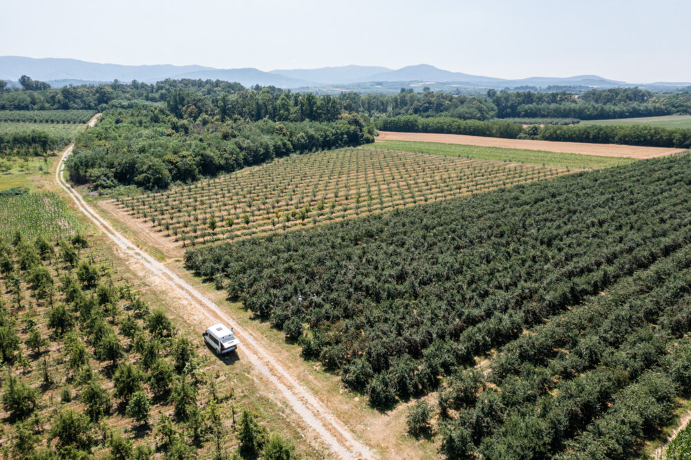 Explore where we growFrom Moro...