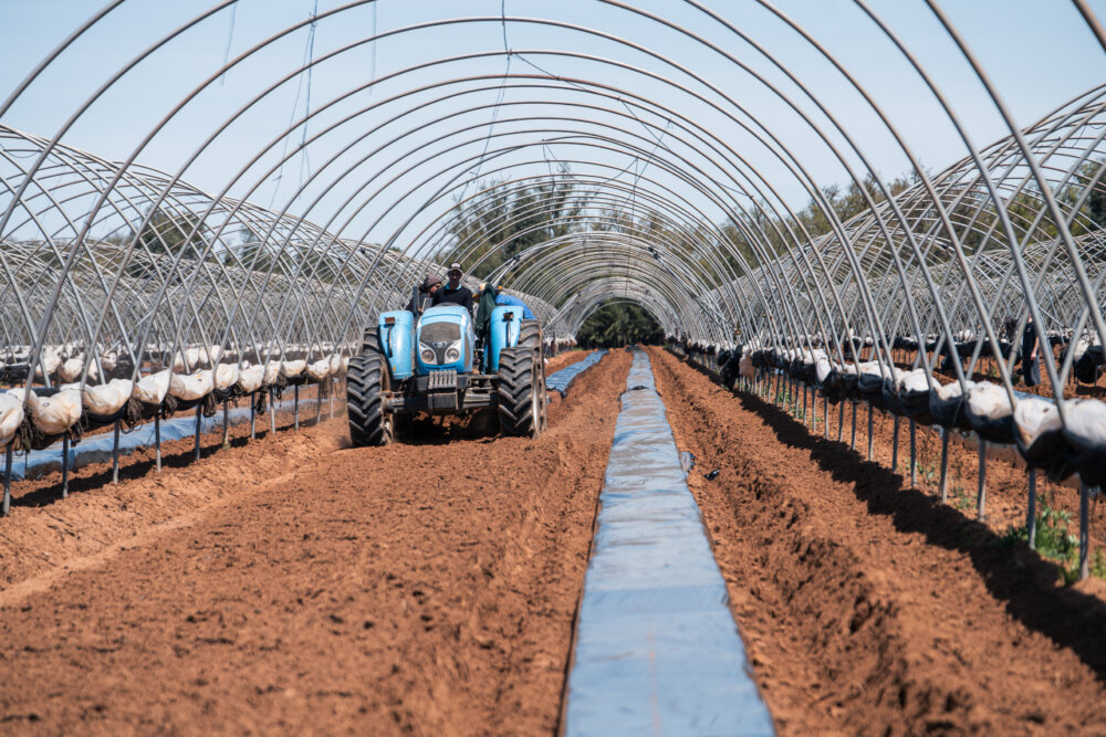 Fighting waste &amp; recycling...