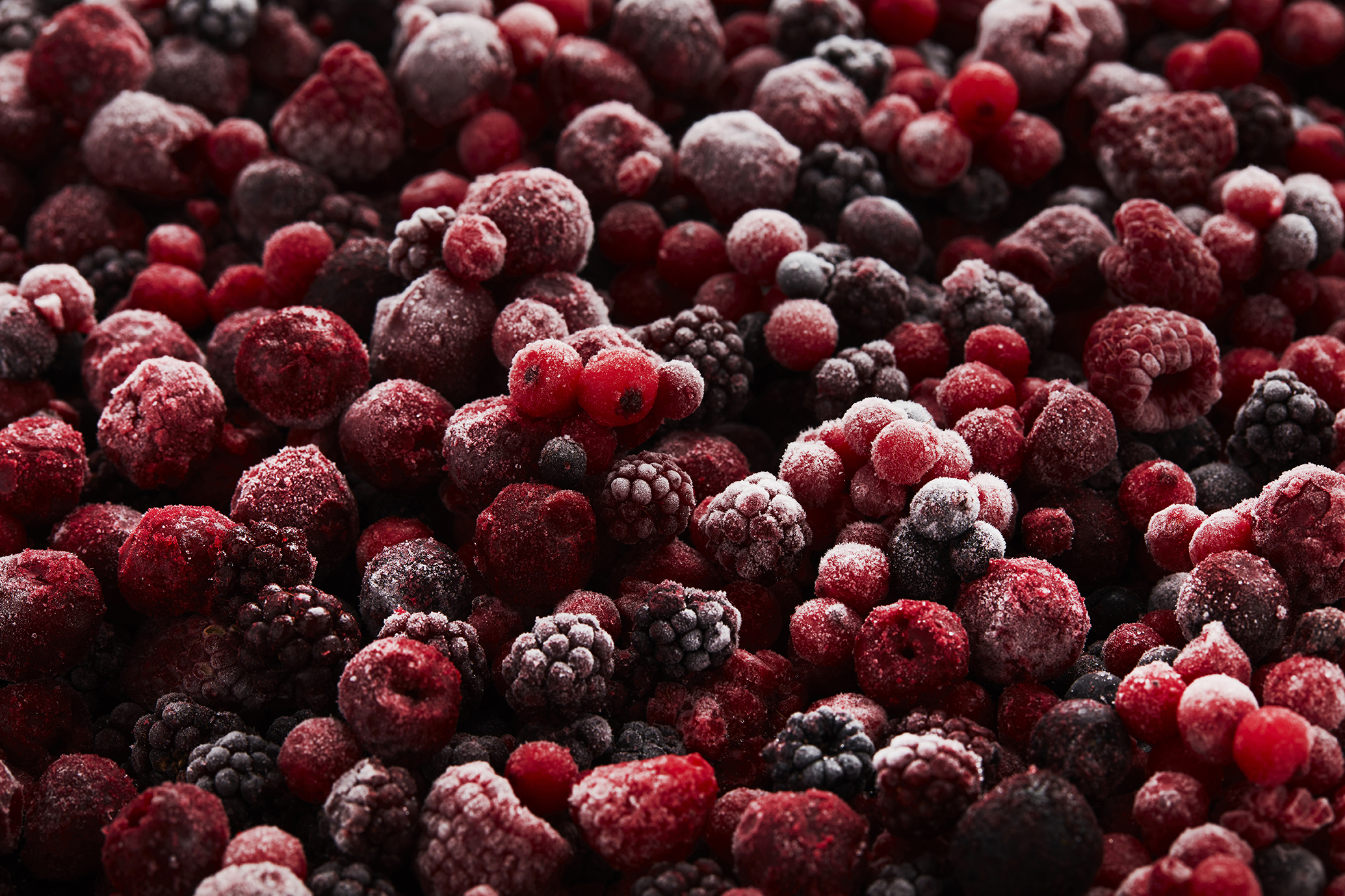 Frozen Ruby Withered Ruby Fruit