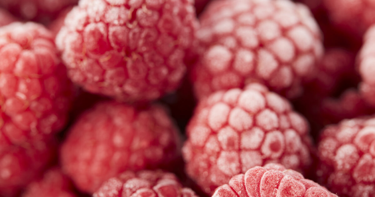 Bravo Raspberry Raspberry | Crop's