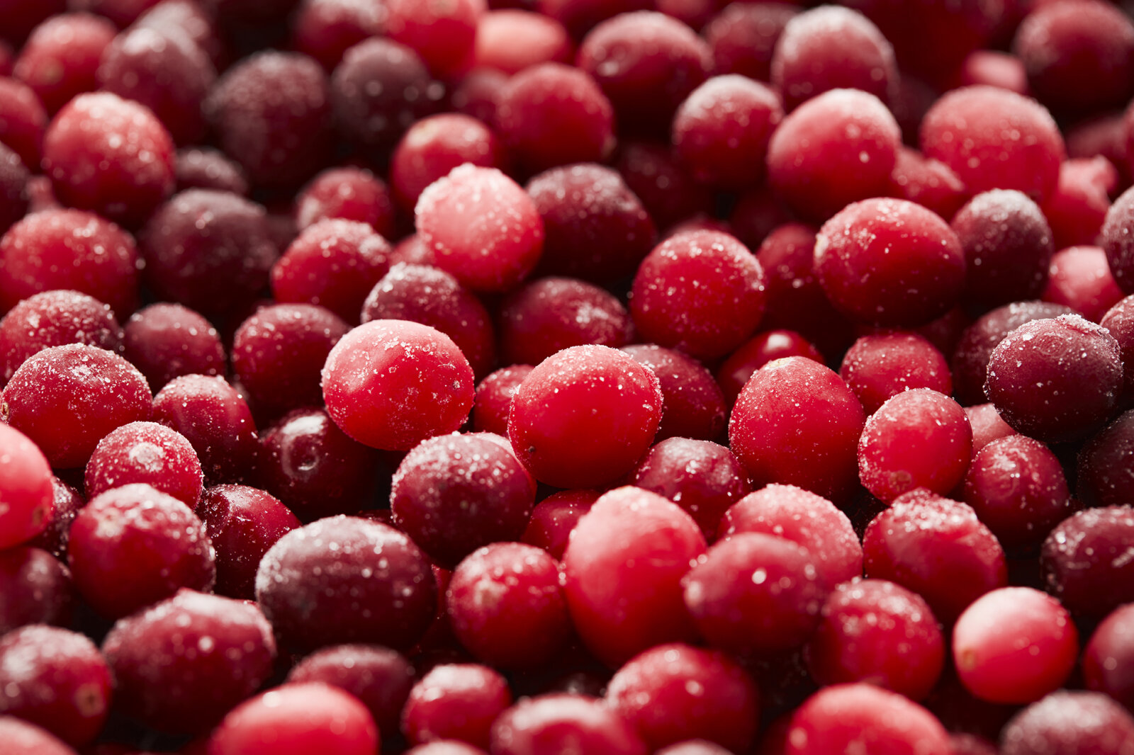 Cranberry