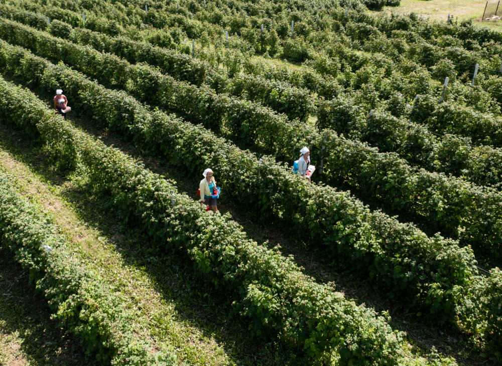 Discover our terroirsAll our f...