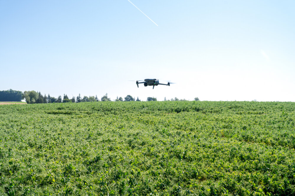 Innovation in the fieldsThanks...
