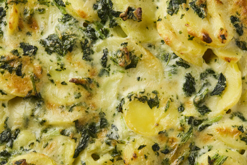 4 cheese gratin