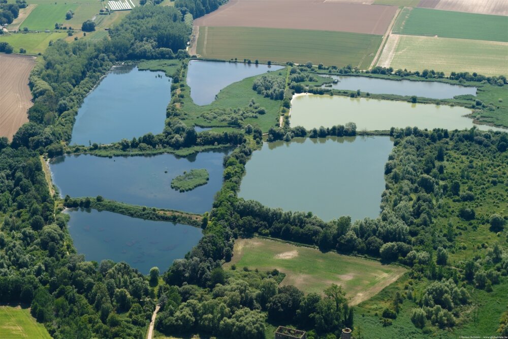 The story of harmony - Belgium...